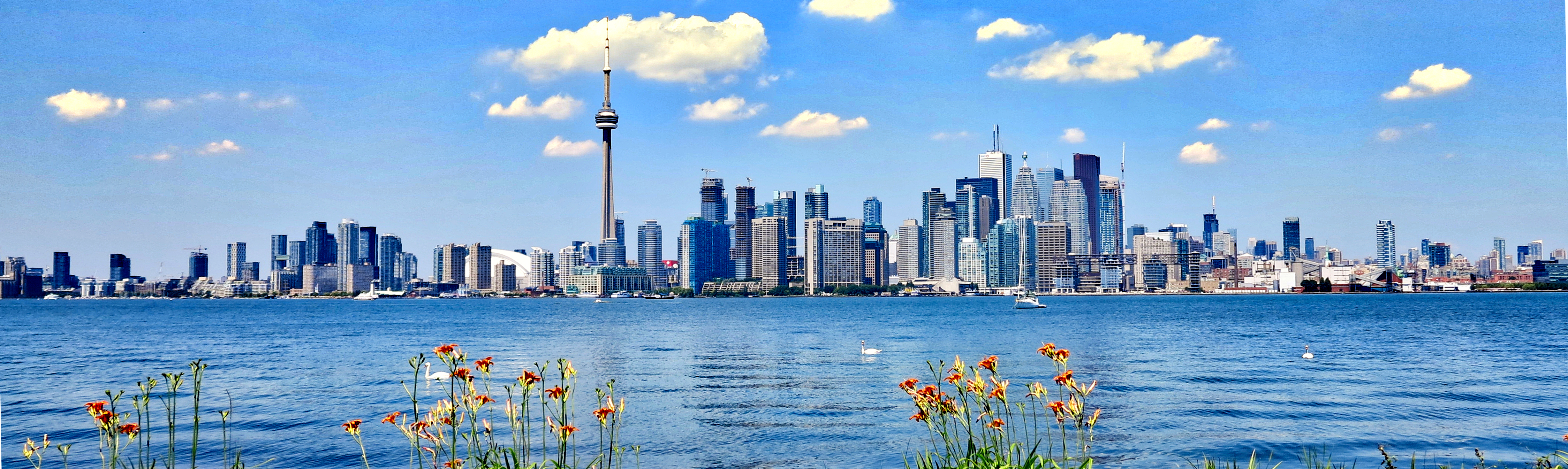 Toronto skyline